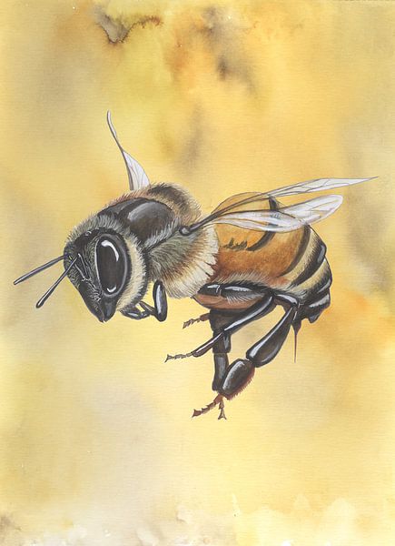 Honigbienenkönigin von Jasper de Ruiter