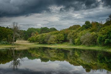 Lac dans la forêt sur Sander Strijdhorst