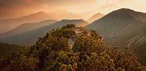 " Alpenblick " vom Herzogstand