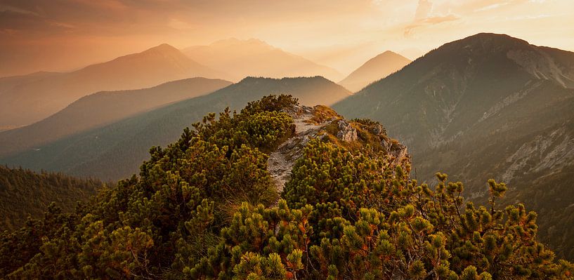 "Alpine view" vanuit het hertogdom van Jiri Viehmann