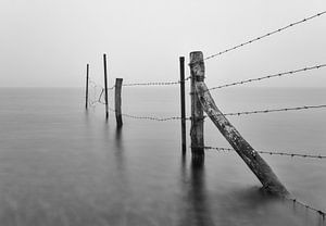 Serene rust in zwart-wit