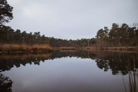 Oisterwijkse weerspiegeling