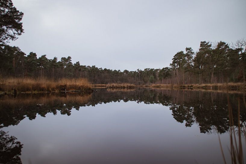 Oisterwijkse weerspiegeling van Paul Schlüter