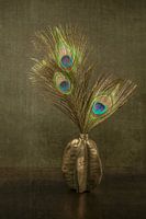 Still Life Peacock Feathers Bohemian. Impressionism
