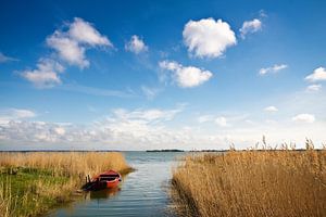 Landschaft am Bodden von Rico Ködder