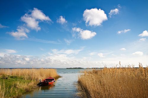 Landscape on a lake