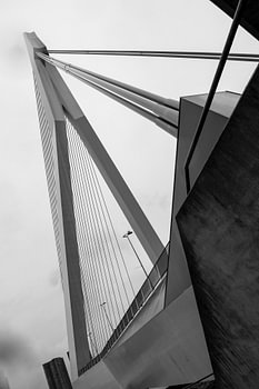 Erasmusbrug Rotterdam Zwart-Wit