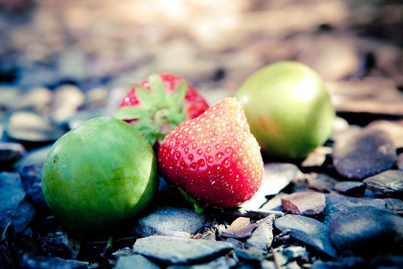 Fruit II von Bram van Kattenbroek