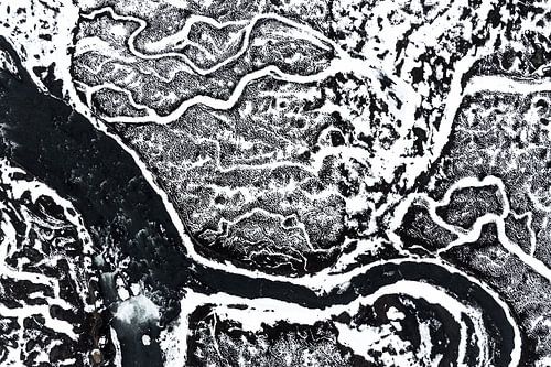 Eisige Muster in Schwarz und Weiß