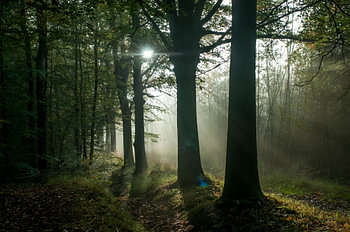 Zonneharpen 2