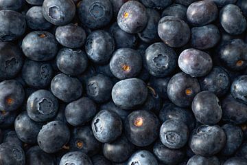 Blaubeeren. von Robby's fotografie