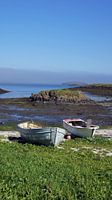 Row boats at Stykkisholmur in Iceland