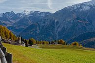 Autumn on the slopes of Lü in Val Müstair by Sean Vos thumbnail