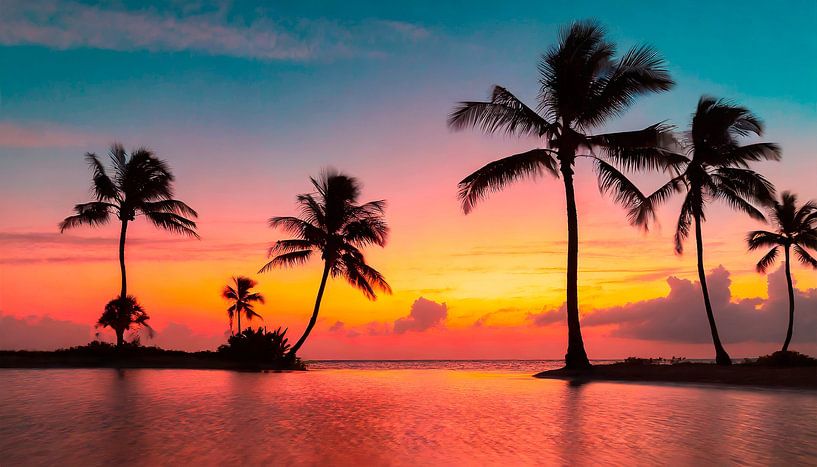 Sunset with palm trees by Mustafa Kurnaz