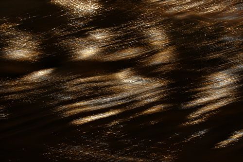 Glimmers by Yanuschka | Fotografie Noordwijk