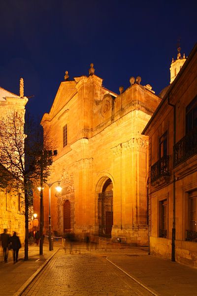 Oude stad, schemering, kerk, straat, Salamanca, Spanje, Europa van Torsten Krüger