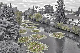 Serene river with water lilies and hot air balloon by Art & Soul Creations