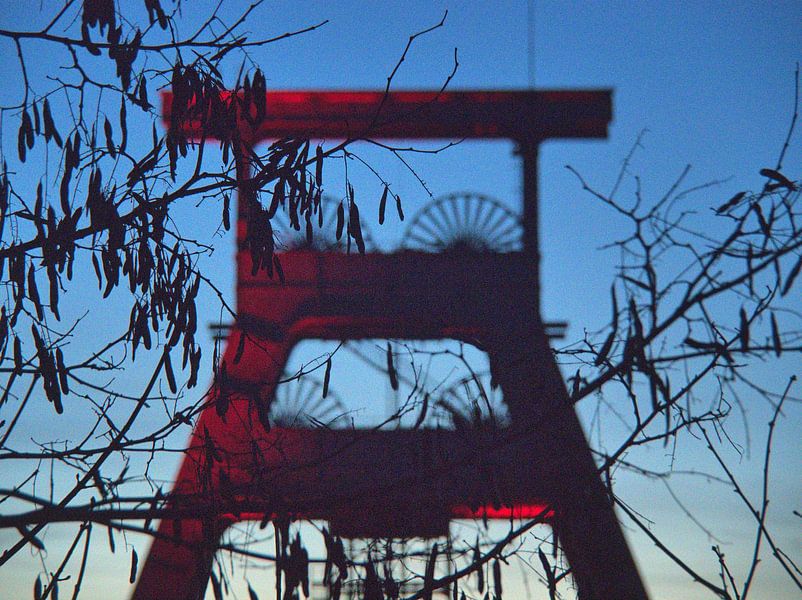 Fleurs précoces le soir par Edgar Schermaul