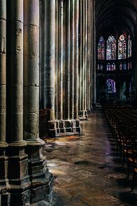 Stained Glass V