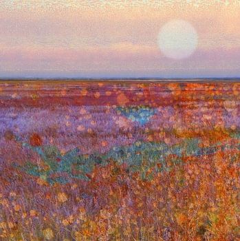 Aus der Serie Planet Texel