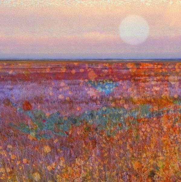 Aus der Serie Planet Texel von Ger Veuger