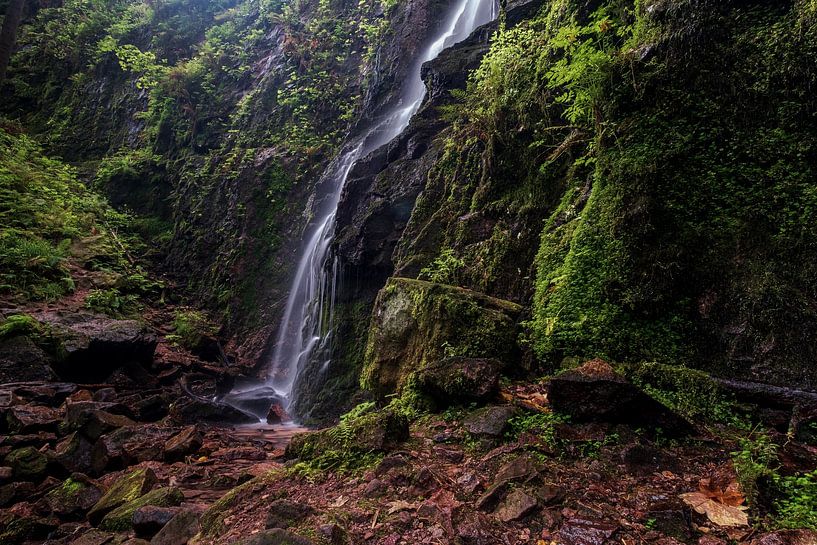 Burgbach-Wasserfall von martin slagveld