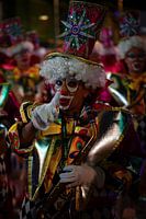 Colourful night Portrait of Carnival in Tenerife