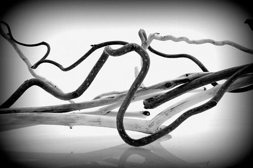 Composition Zen