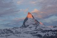 Alpenglühen Morgenrot am Matterhorn von Martin Steiner Miniaturansicht