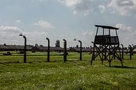 auf dem Gelände von Auswitz Birkenau von Eric van Nieuwland Miniaturansicht