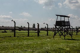 op het terrein van Auswitz Birkenau