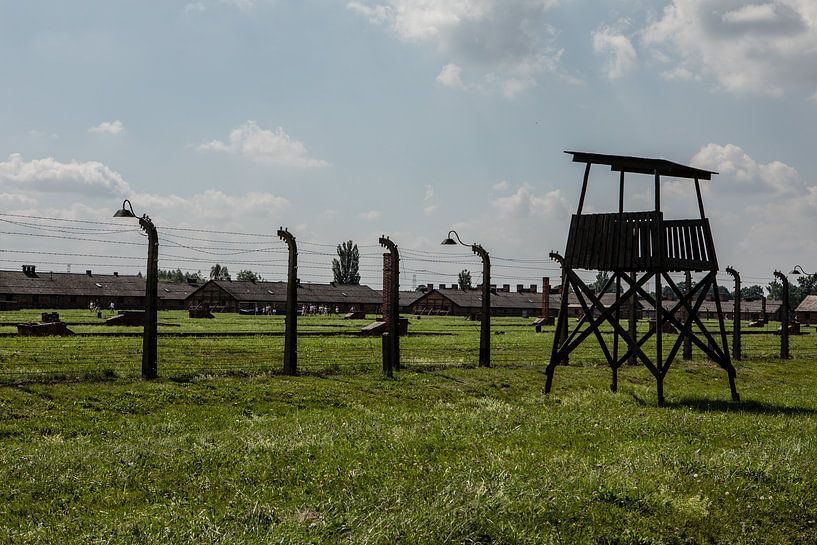 sur le terrain d'Auswitz Birkenau par Eric van Nieuwland