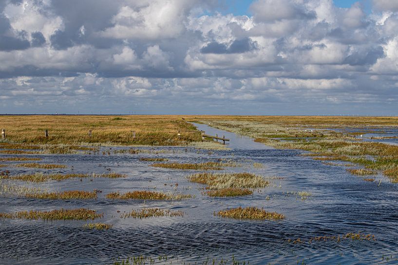 Salt marsh at high tide off Westerhever by Alexander Wolff