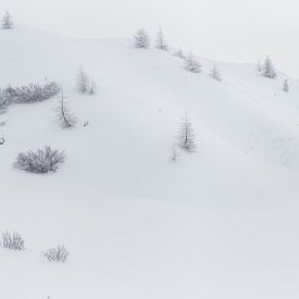 Monde blanc II sur Rainer Mirau