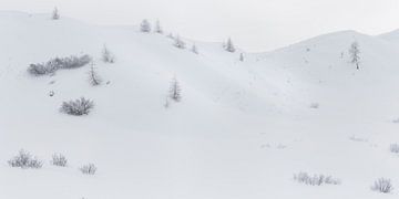 Monde blanc II sur Rainer Mirau