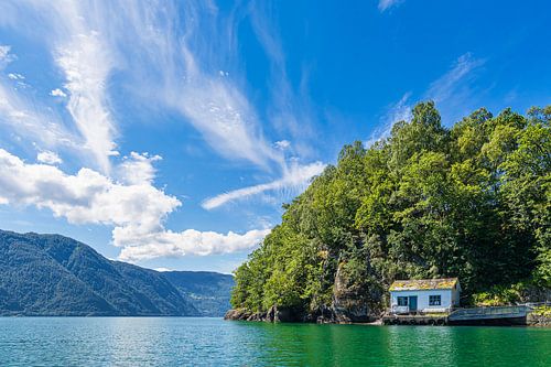 Uitzicht op de Åkrafjord in Noorwegen van Rico Ködder