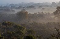 Amsterdamse Waterleiding Duinen van martin slagveld thumbnail