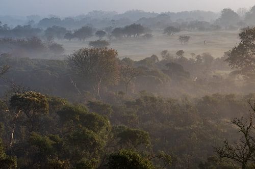 Amsterdamse Waterleiding Duinen