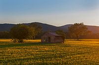 Abandoned cottage in the South of France at sunset