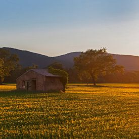 Verlassene Hütte in Südfrankreich bei Sonnenuntergang von Anita Hermans