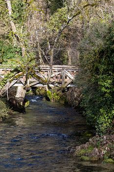 Blautopfsee in Blaubeuren with tributary and old wooden bridge