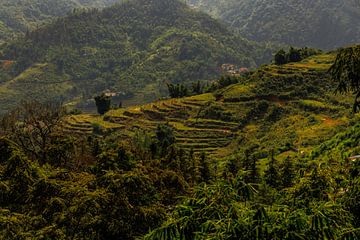 Sa Pa, Vietnam by Patrick Fotografeert