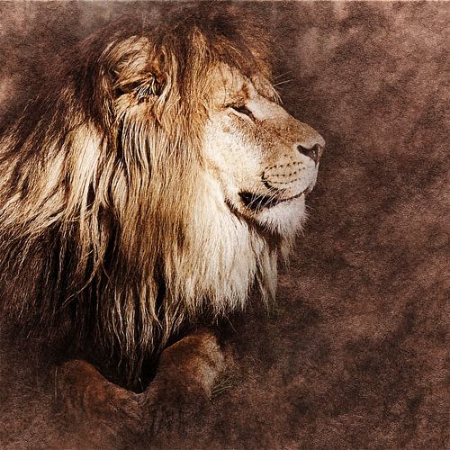 Lion in the sun (art)