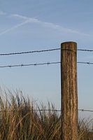 Pole with barbed wire