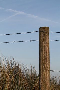 Pole with barbed wire sur Marit Visser