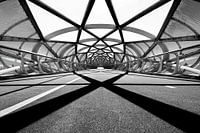 Bicycle bridge 'the green connection'