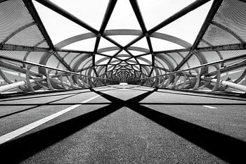 Bicycle bridge 'the green connection'