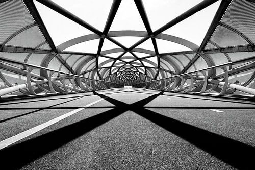 Bicycle bridge 'the green connection'