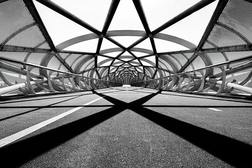 Bicycle bridge 'the green connection' by Monique Klein Schiphorst