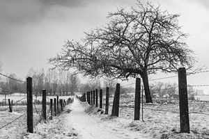 Winterlandschap Vlaams Pajottenland, België